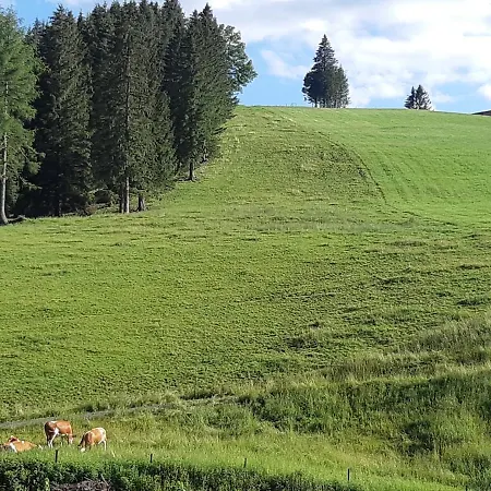 Klug Zum Ehrensepp